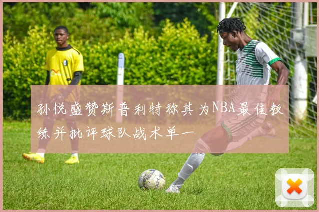 孙悦盛赞斯普利特称其为NBA最佳教练并批评球队战术单一
